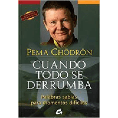 Libros-Cuando todo se derrumba-min