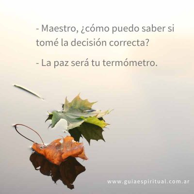 Maestro como puede saber si mi desición es correcta