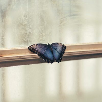 jian-xhin-281513-unsplash